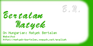 bertalan matyek business card